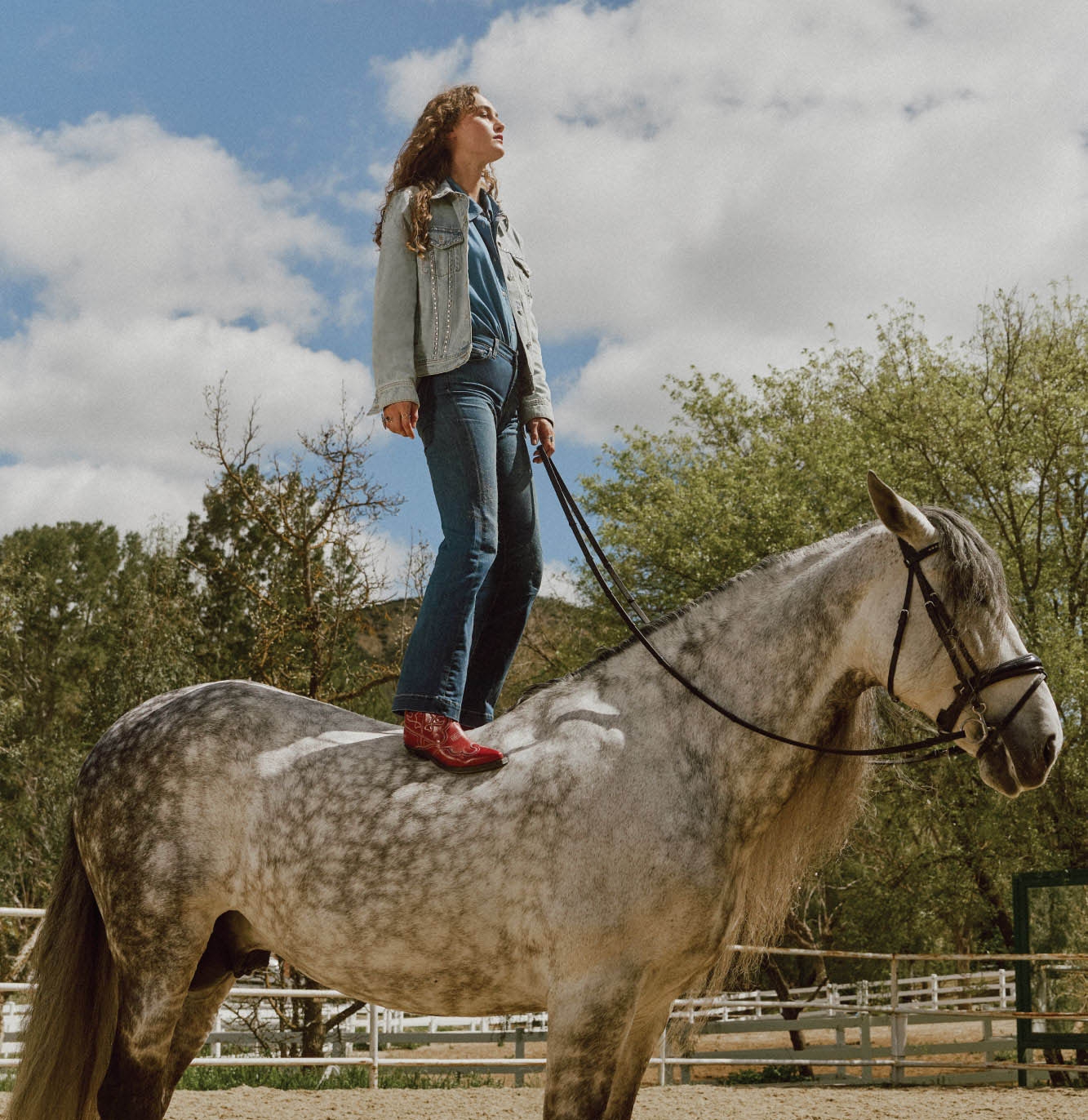 Premium Jeans, Jacken & Accessoires 7 For All Mankind